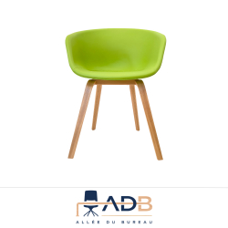 FAUTEUIL D'ACCUEIL - HAY