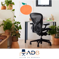 SIÈGE ERGONOMIQUE HERMAN MILLER- AERON