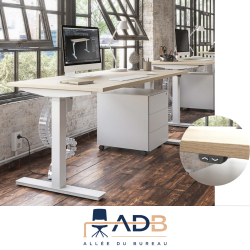 BUREAU ASSIS DEBOUT - TRAM PLUS