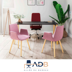 GRAND FAUTEUIL RAN
