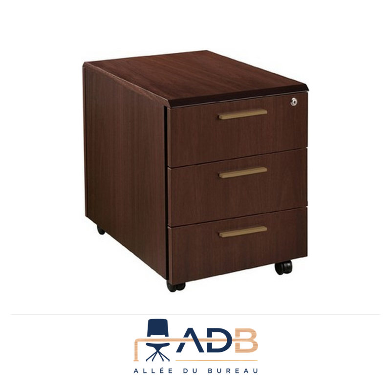 CAISSON DE BUREAU "PHENIX"