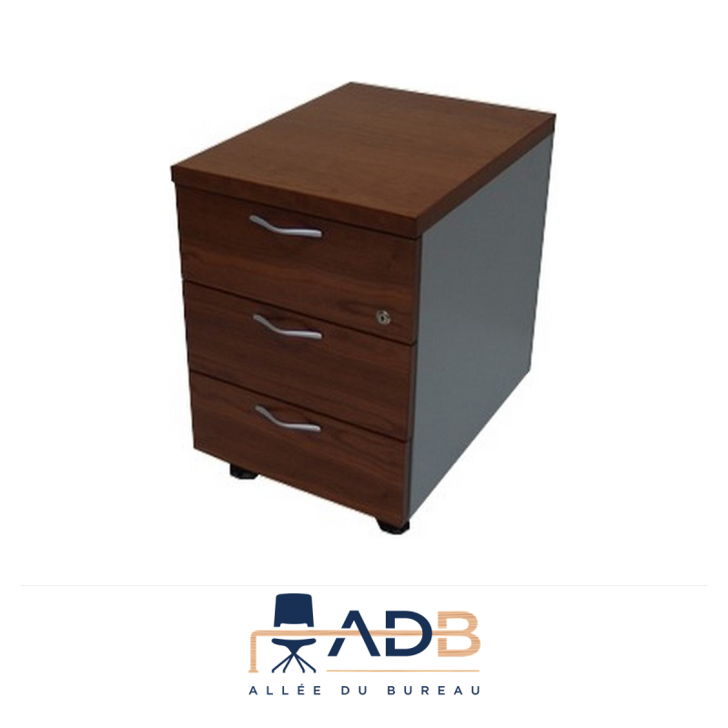 CAISSON DE BUREAU "ALTIS"