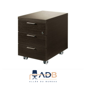 CAISSON DE BUREAU "CARAT"