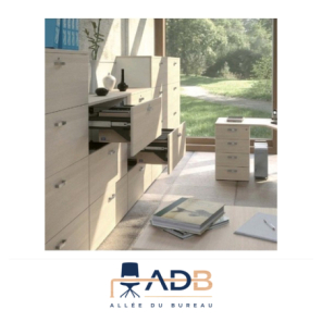 ARMOIRE DE BUREAU CERVERA