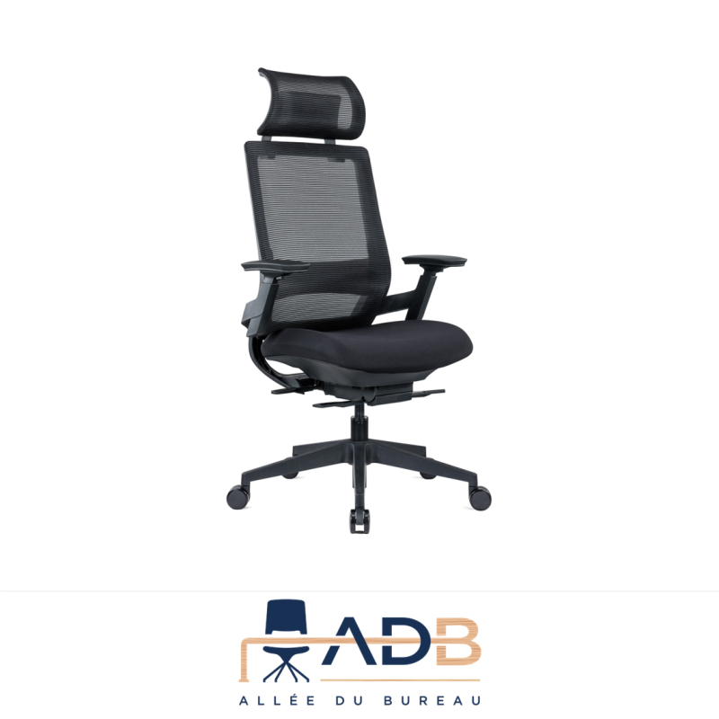 FAUTEUIL ERGONOMIQUE EPTE