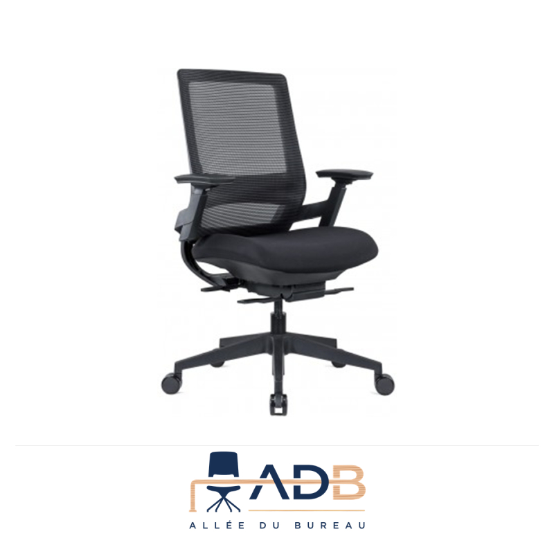 FAUTEUIL ERGONOMIQUE EPTE