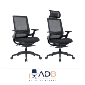 FAUTEUIL ERGONOMIQUE "EPTE"