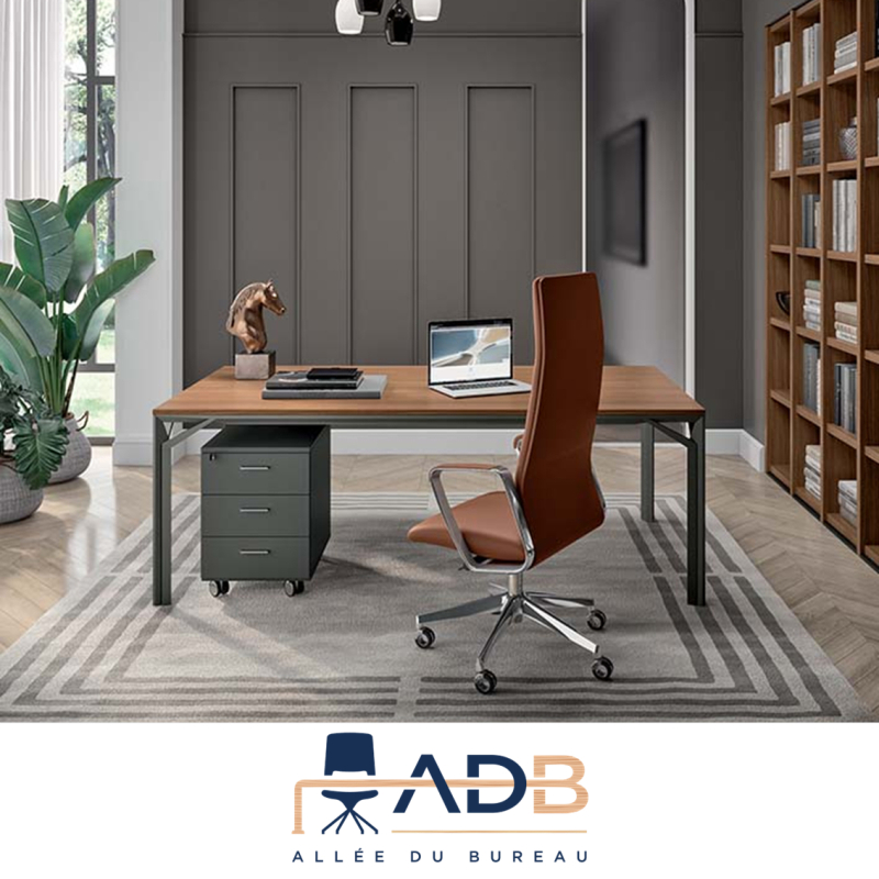 BUREAU DE DIRECTION X8