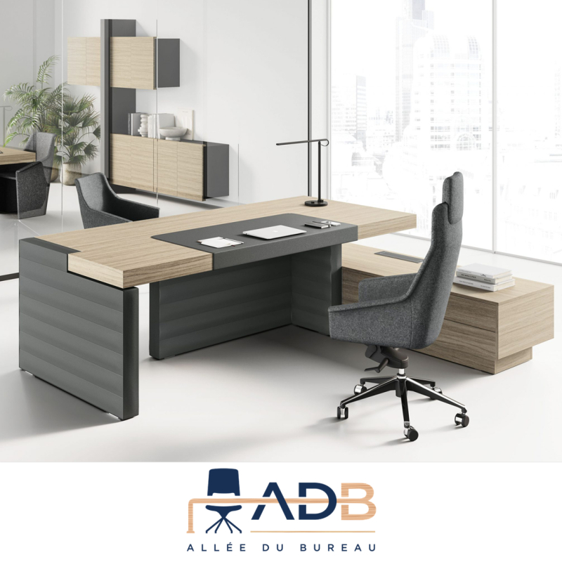 BUREAU JERA