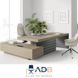 BUREAU JERA