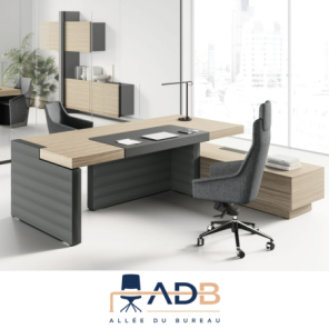 BUREAU JERA