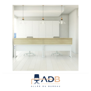 BUREAU INDIVIDUEL SIGMA
