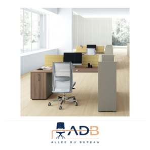BUREAU INDIVIDUEL OXI