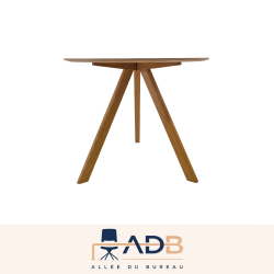 TABLE DE RÉUNION - HAY