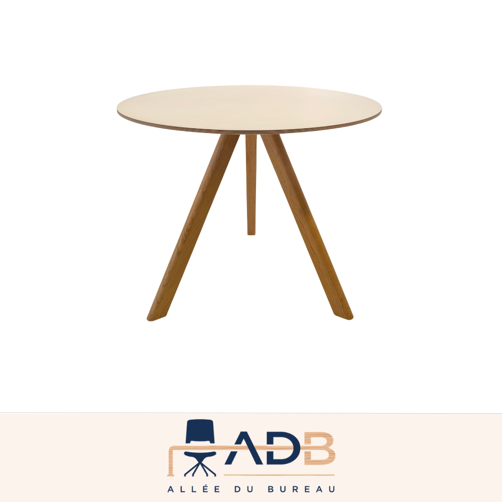TABLE DE RÉUNION - HAY