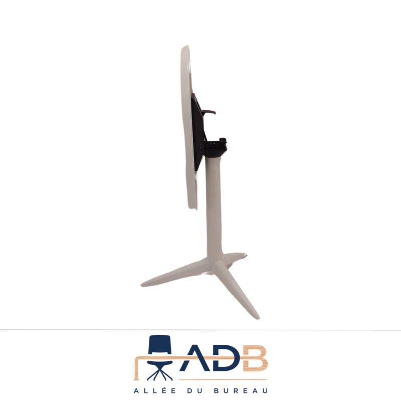 TABLE RABATTABLE - IRIS