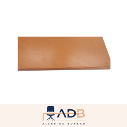 BUREAU RÉGLABLE