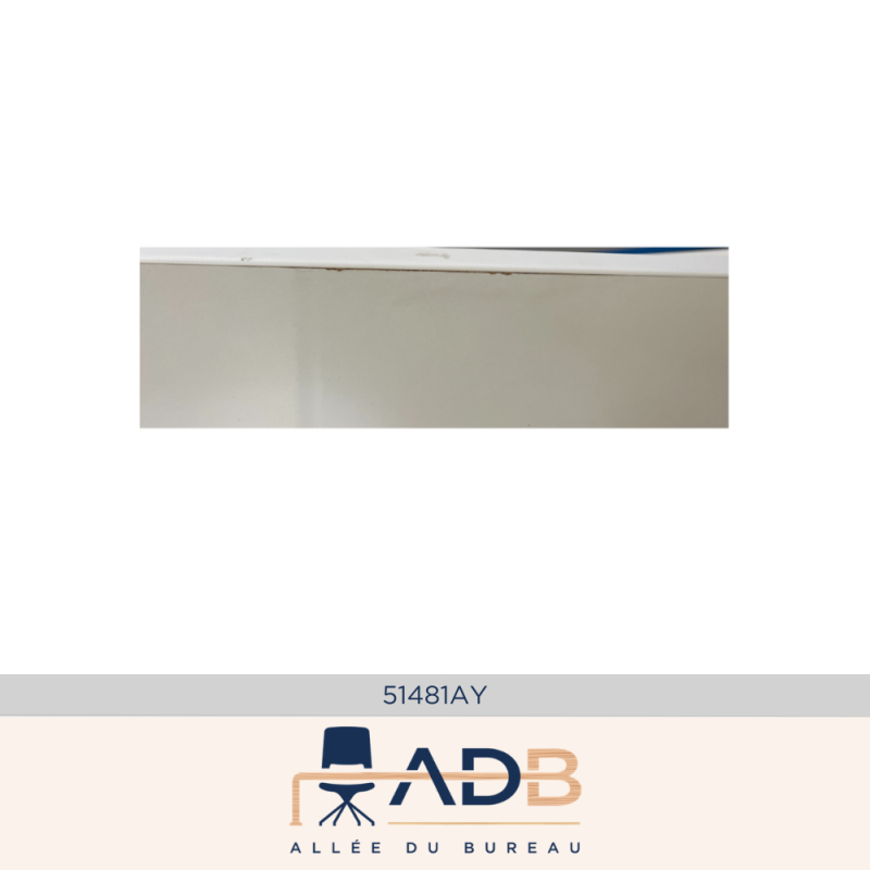 BUREAU INDIVIDUEL RÉGLABLE