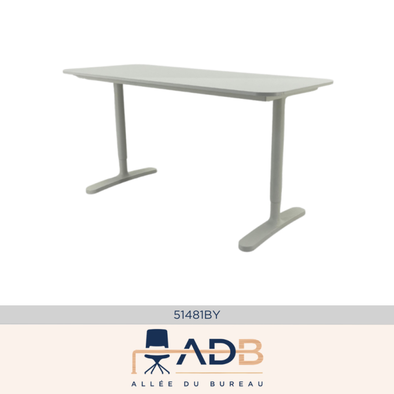 BUREAU INDIVIDUEL RÉGLABLE