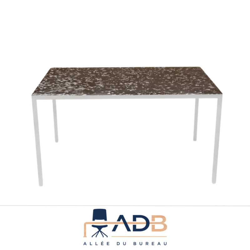TABLE DE COLLECTIVITÉ RECYCLÉE - TÉTRA