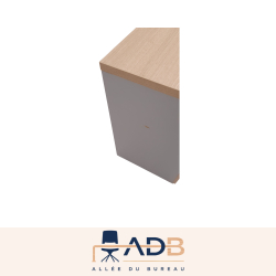 ARMOIRE BASSE
