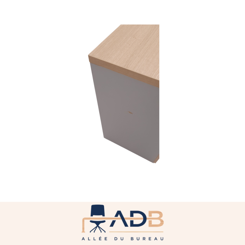 ARMOIRE BASSE