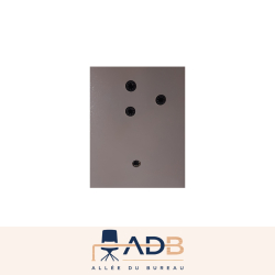 ARMOIRE FORTE - FICHET BAUCHE