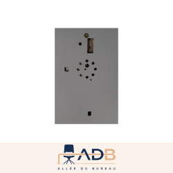 ARMOIRE FORTE - FICHET BAUCHE