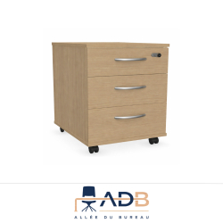 CAISSON DE RANGEMENT - IZY