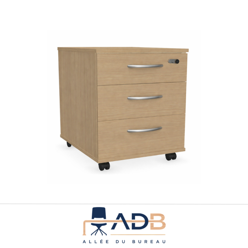 CAISSON DE RANGEMENT - IZY