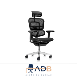FAUTEUIL ERGOHUMAN ULTRA
