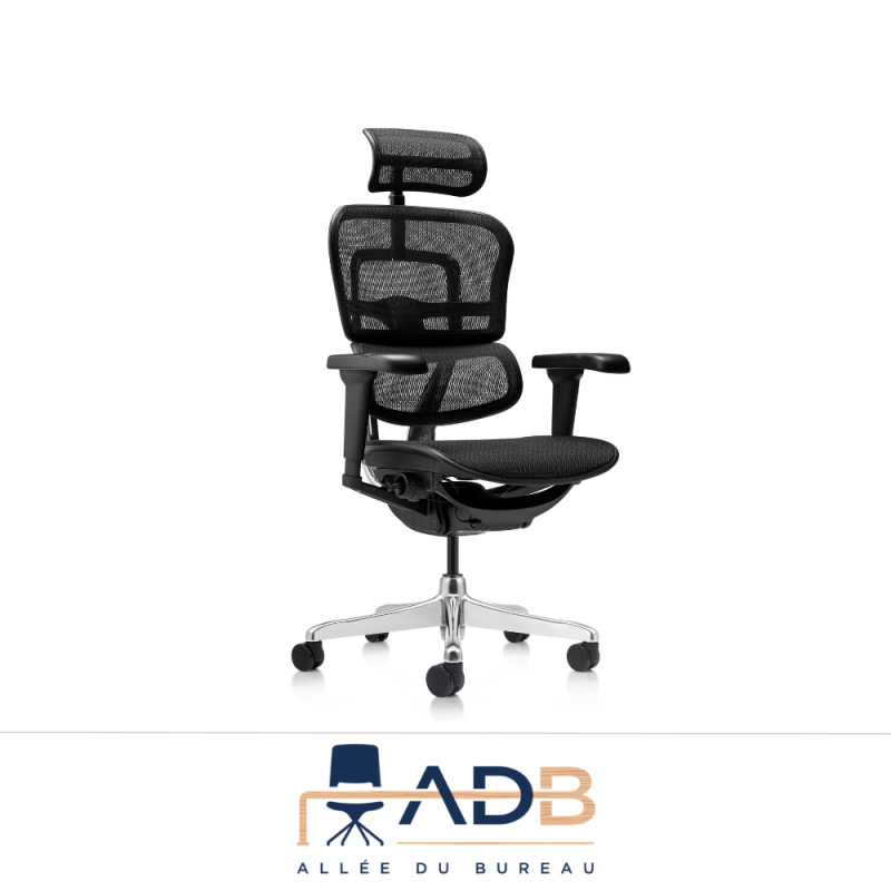 FAUTEUIL ERGOHUMAN ULTRA