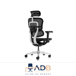 FAUTEUIL ERGOHUMAN ULTRA