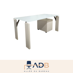 ENSEMBLE BUREAU ET CAISSON