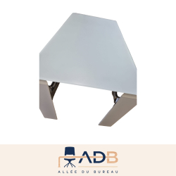 ENSEMBLE BUREAU ET CAISSON