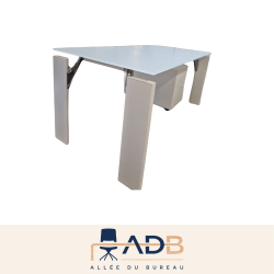 ENSEMBLE BUREAU ET CAISSON