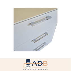 ENSEMBLE BUREAU ET CAISSON