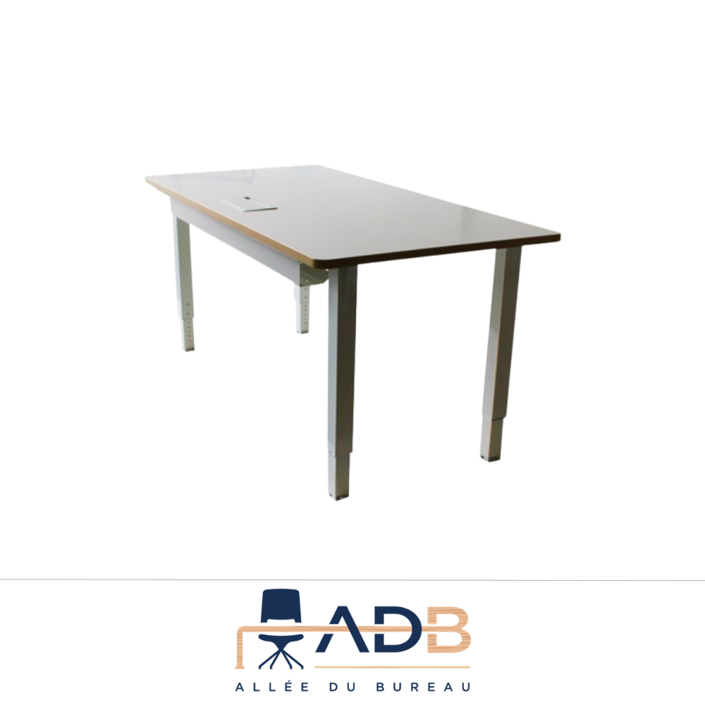 BUREAU INDIVIDUEL RÉGLABLE