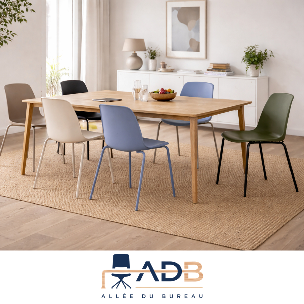 CHAISE COLLECTIVITE - BIZET