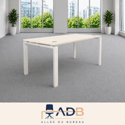 BUREAU INDIVIDUEL