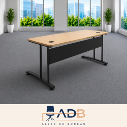 BUREAU INDIVIDUEL RECTANGULAIRE