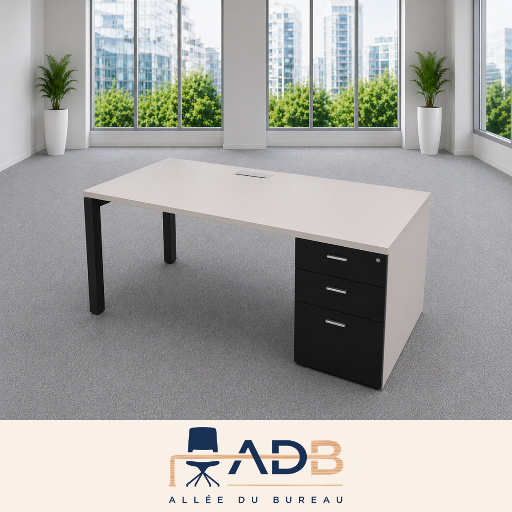 BUREAU DROIT