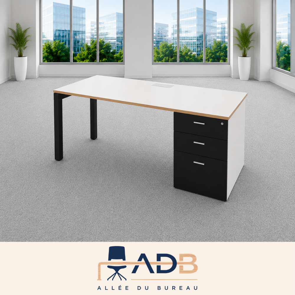 BUREAU DROIT