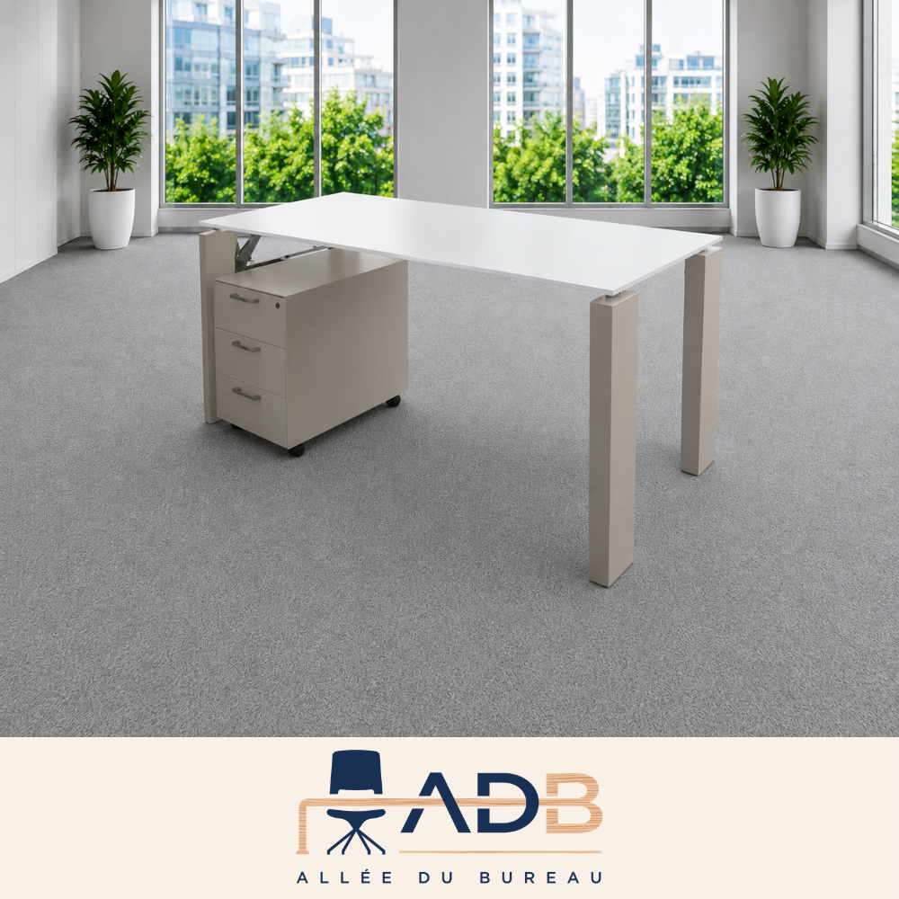 ENSEMBLE BUREAU ET CAISSON