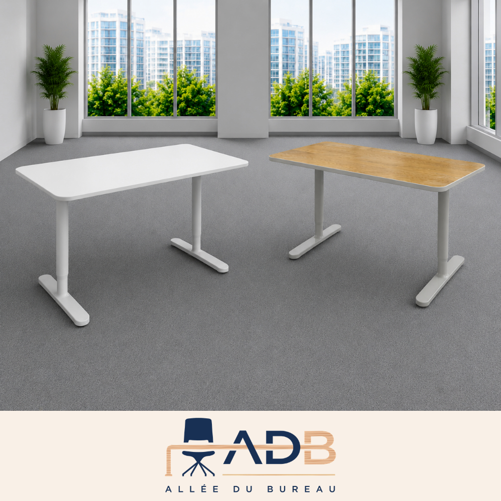 BUREAU INDIVIDUEL RÉGLABLE