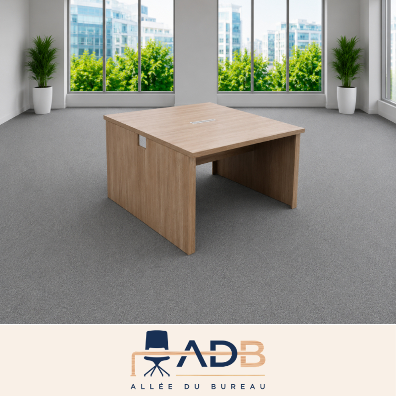 BENCH 2 POSTES