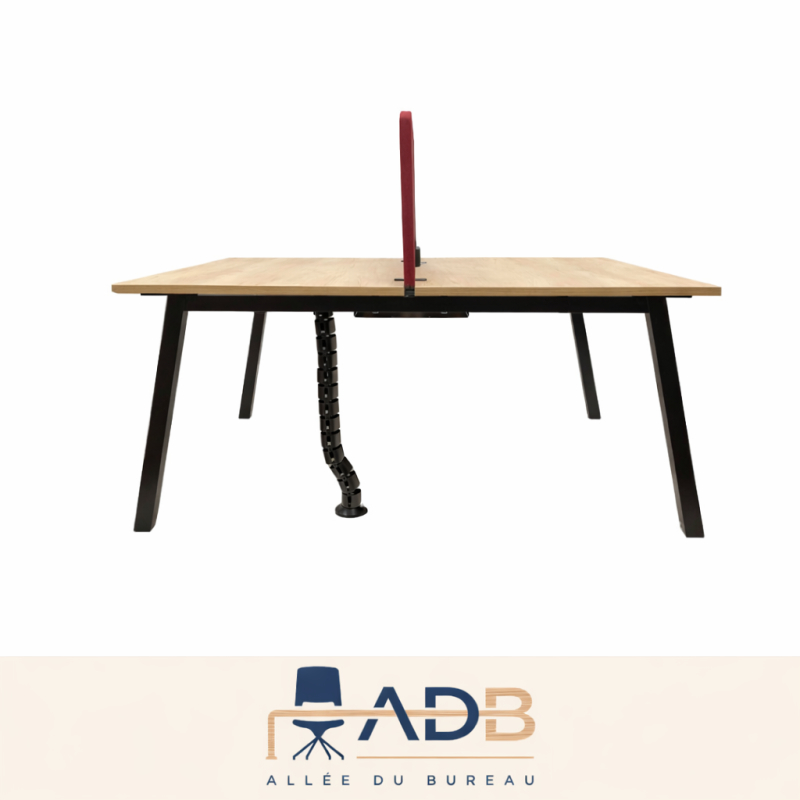 BENCH 2 POSTES