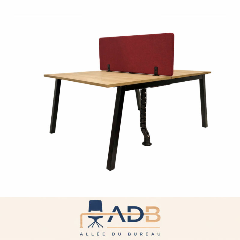 BENCH 2 POSTES