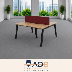 BENCH 2 POSTES
