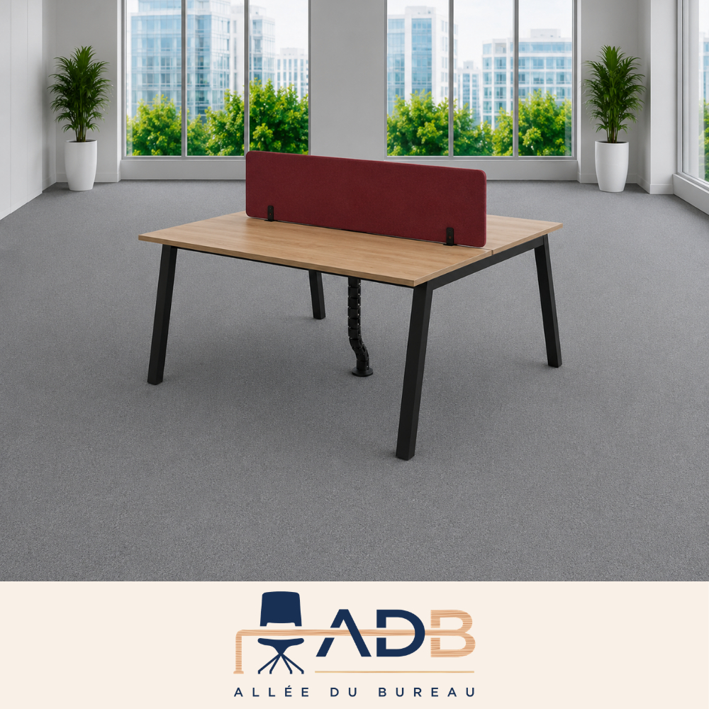 BENCH 2 POSTES